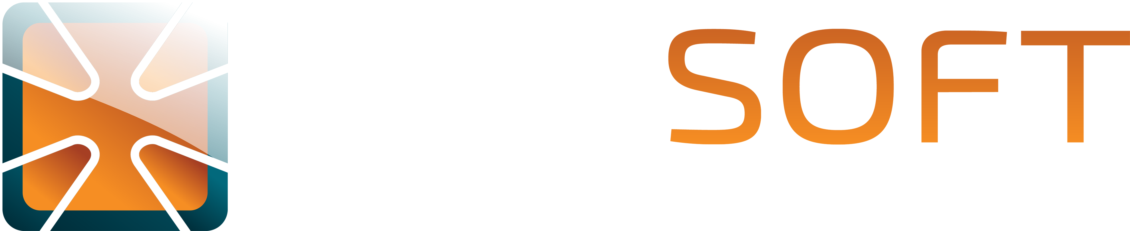 Winsoft Logo