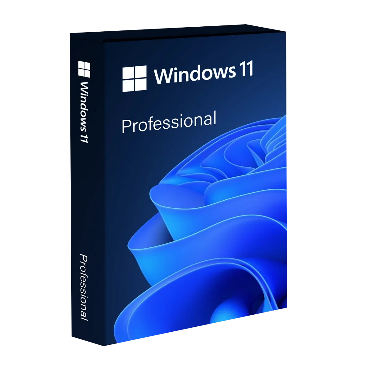 Windows 11 Professional 64bit OEI