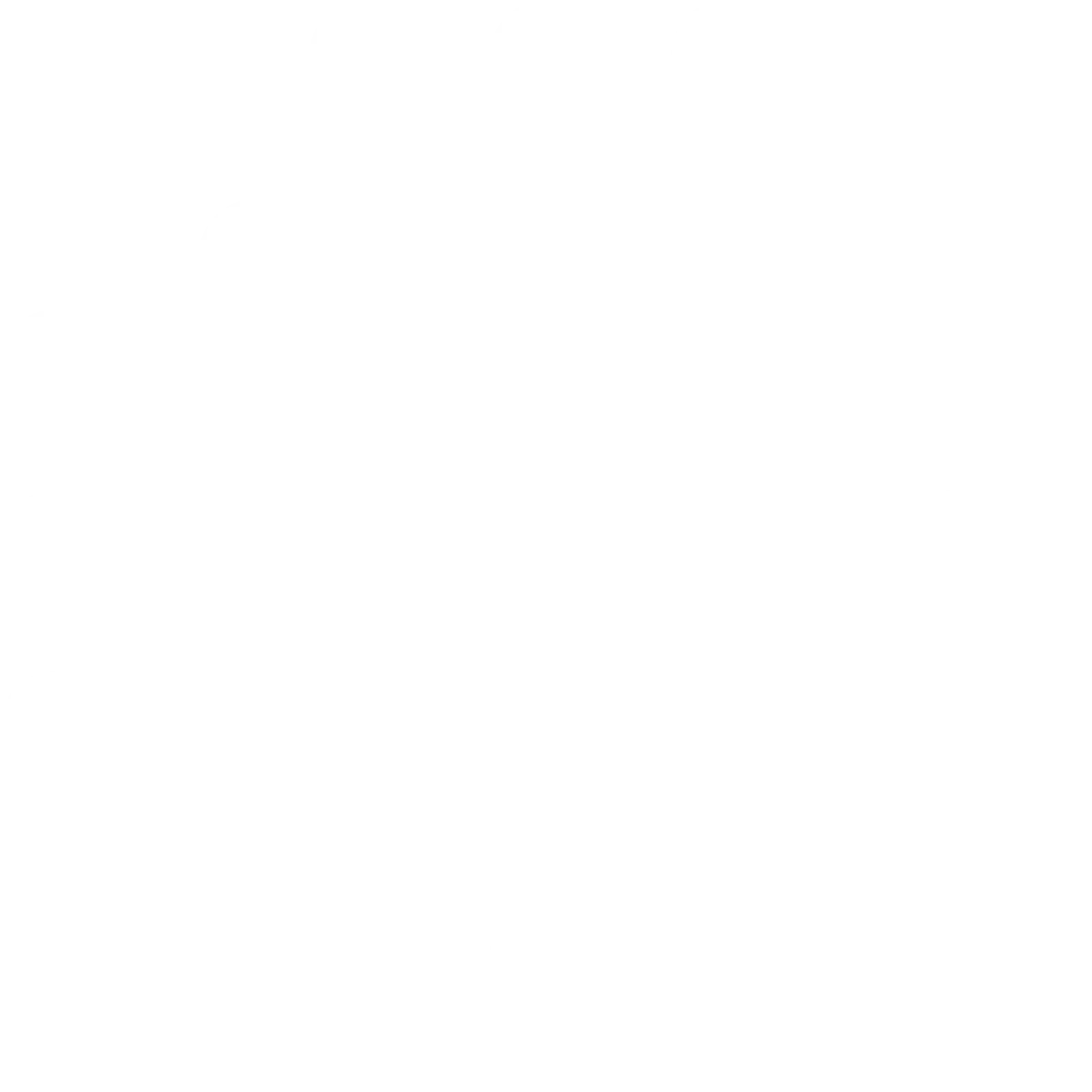 Processors