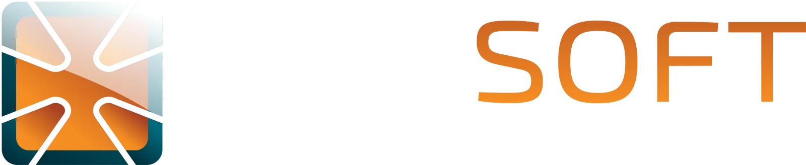 Winsoft Logo