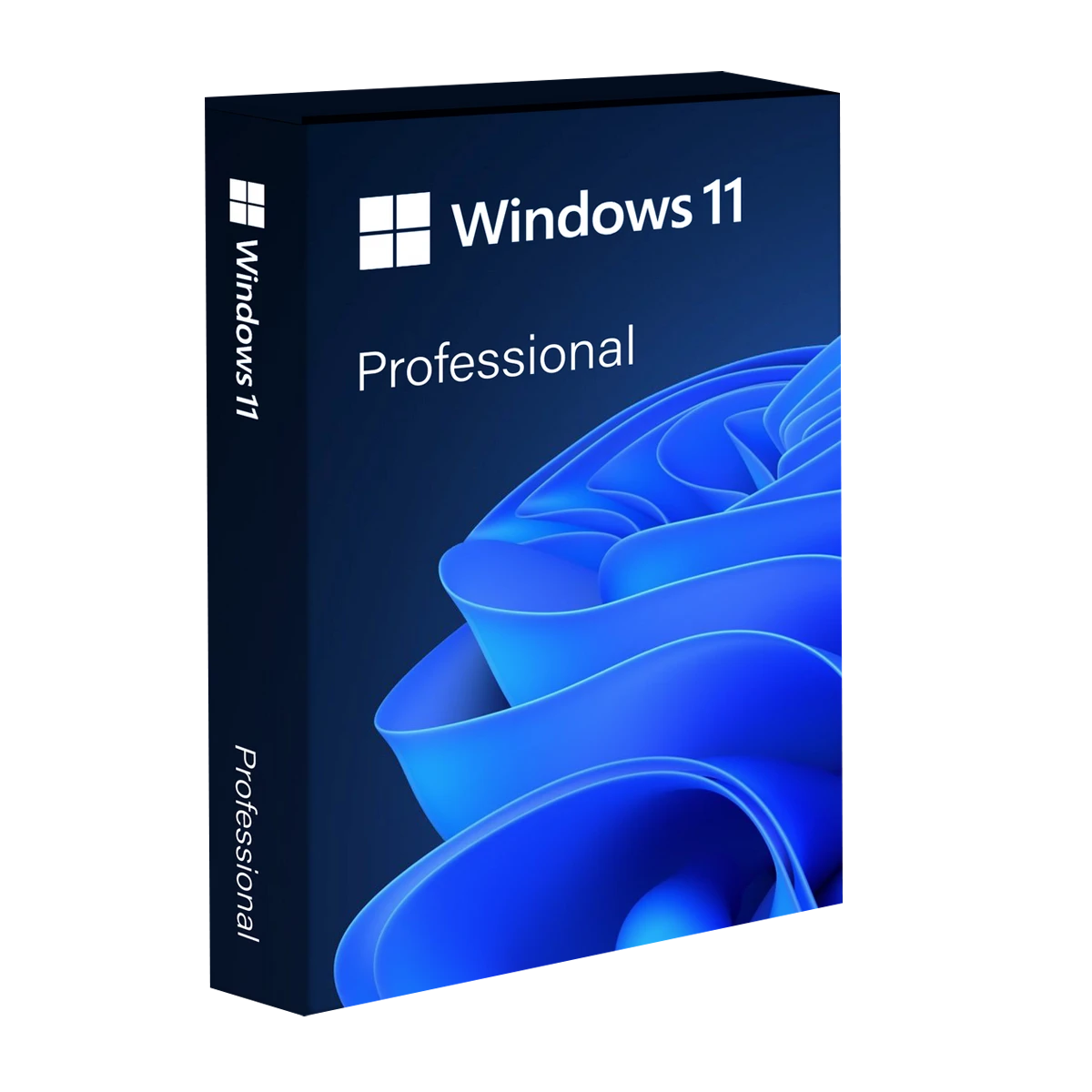 Windows 11 Professional 64bit OEI
