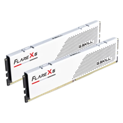 G.SKILL FLARE X5 64GB (32GB×2) DDR5 5600Mhz Ram